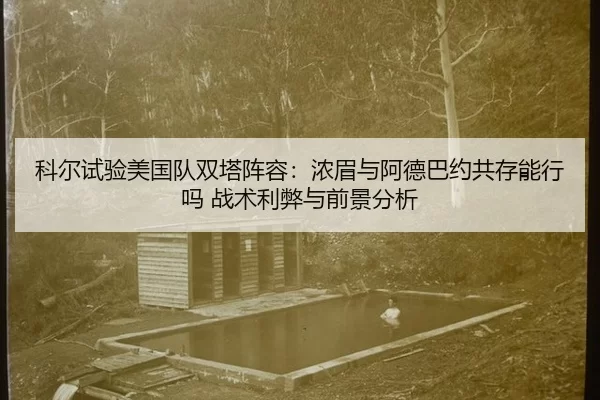 ke-er-shi-yan-mei-guo-dui-shuang-ta-zhen-rong-nong-mei-yu-a-de-ba-yue-gong-cun-neng-xing-ma-zhan-shu-li-bi-yu-qian-jing-2-557.jpg