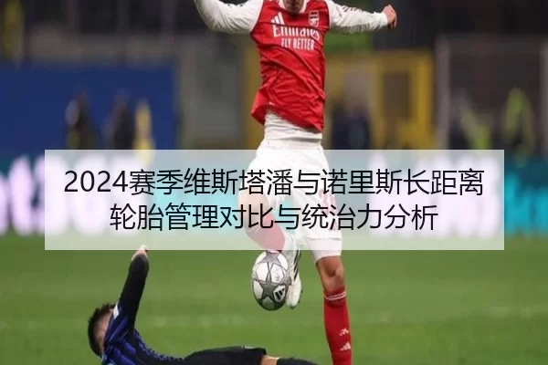 2024赛季维斯塔潘与诺里斯长距离轮胎管理对比与统治力分析