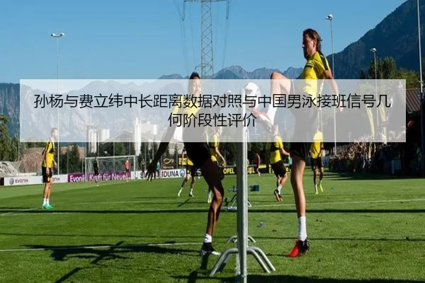 孙杨与费立纬中长距离数据对照与中国男泳接班信号几何阶段性评价