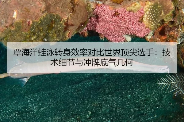 tan-hai-yang-wa-yong-zhuan-shen-xiao-lv-dui-bi-shi-jie-ding-jian-xuan-shou-ji-shu-xi-jie-yu-chong-pai-di-qi-ji-he-2-548.jpg