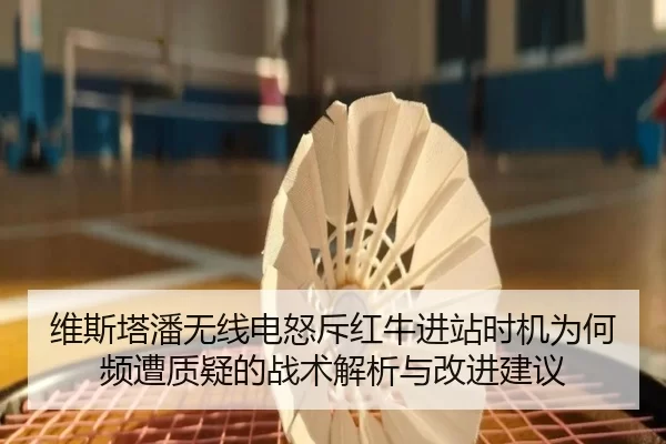 wei-si-ta-pan-wu-xian-dian-nu-chi-hong-niu-jin-zhan-shi-ji-wei-he-pin-zao-zhi-yi-de-zhan-shu-jie-xi-yu-gai-jin-jian-yi-2-391.jpg