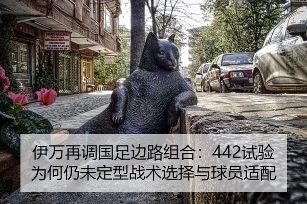 伊万再调国足边路组合：442试验为何仍未定型战术选择与球员适配