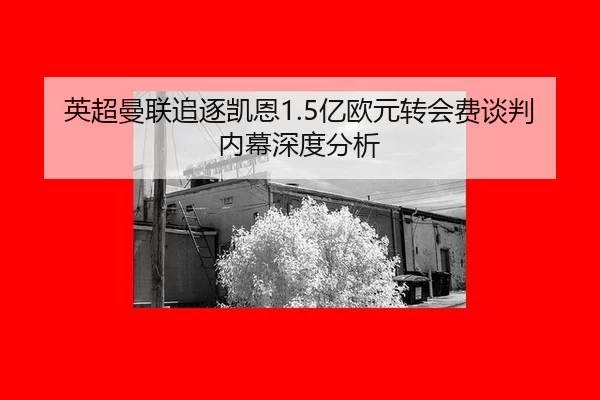 英超曼联追逐凯恩1.5亿欧元转会费谈判内幕深度分析